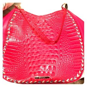 Pink Brahmin Purse